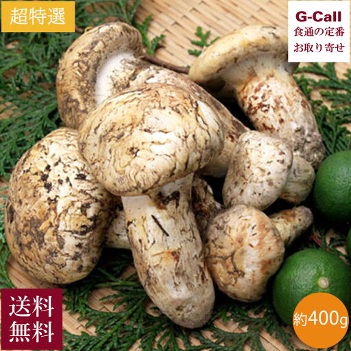 北米産 松茸 超特選 約400g 5〜10本 8月下旬〜2025年10月下旬出荷 送料無料 まつたけ マツタケ 秋の味覚 キノコ 野菜 茸 旬 鮮度 輸入 空輸 土瓶蒸し お取り寄せ 北米産 松茸 超特選 約400g 5〜10本 8月下旬〜2025年10月下旬出荷 送料無料 まつたけ マツタケ 秋の味覚 キノコ 野菜 茸 旬 鮮度 輸入 空輸 土瓶蒸し お取り寄せ