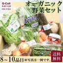 オーガニック野菜のセット 8〜10品目 送料無料 冷蔵 やさい 野菜 健康 旬 詰合せ 冷蔵 有機 無農薬 有機農園 お取り寄せ ギフト 生産者直送