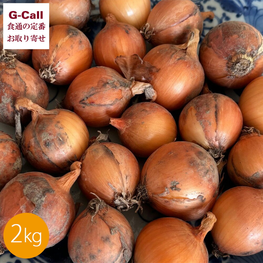 富良野産 ペコロス 2kg 10月中旬から12月中旬発送 四国/九州・沖縄送料別 玉ねぎ 小玉ねぎ プチオニオン 野菜 北海道 富良野 うすだ農園 産地直送 食べる力