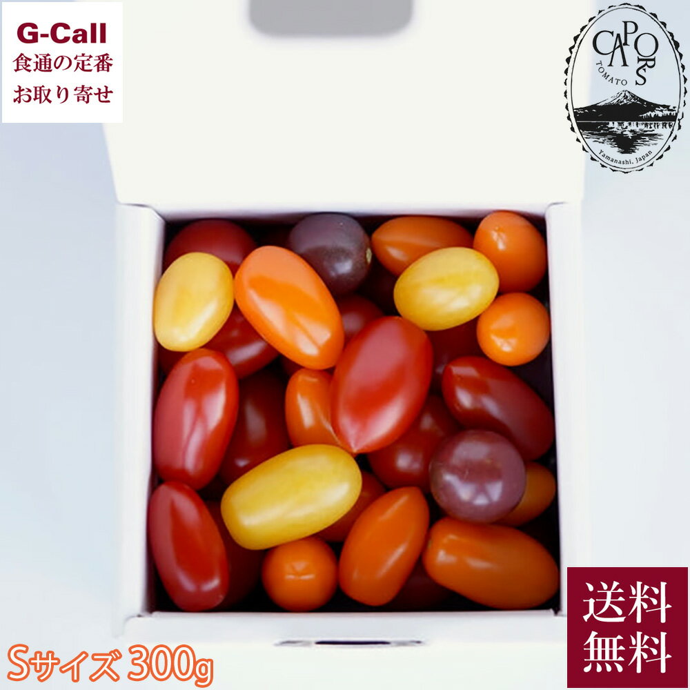 Inakakara Farm to Table カピオトマトセレクト Sサイズ 300g 11月中旬〜5月下旬発送 指定日不可 送料無料 トマト とまと ミニトマト 野菜 ギフト 産地直送