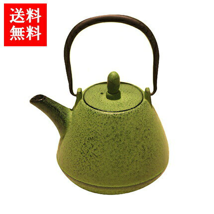 Rakuten - ロジアソシエイツ 南部鉄器 Roji カラー急須 ドーム型肌 芽吹き 黒 送料無料 南部鉄急須 伝統工芸 ロジ 岩手 鉄瓶 モダン お取り寄せ