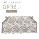 CHI'S RENAIS シーズ・ルネス 谷間隠し グレー 送料無料 服 下着 レディース インナー パーティー エレガント 洋服 女性 簡単 涼しい 快適 お取り寄せ