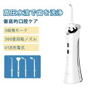 オーラルケア 口腔洗浄器 電動ジェットウォッシャー 口腔洗浄機 歯垢除去携帯型 歯周ポケット 歯垢除去 初心者向け 3段階モード IPX7防水 長時間バッテリー USB充電式 携帯型(2)
