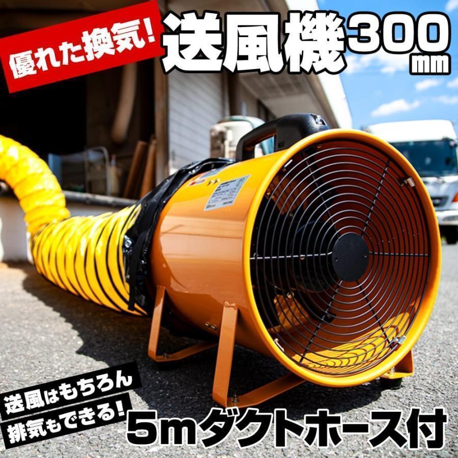  ̳  300mm  ȥۡ5m å ݡ֥ե   ե ۴ ʴ ֥ ##...