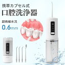 ジェットウォッシャー 口腔洗浄器 カプセル式 電動 口内洗浄機 230MLタンク ウォーターフロス USB充電式 携帯 口コミ 歯間洗浄機