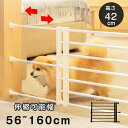 ペットゲート 突っ張り 伸縮 ペットフェンス 伸縮式 高さ42cm 犬 低い 侵入防止柵 犬用ゲート ペットゲート 室内 柵 小型犬 中型犬 仕切り ペットガー...