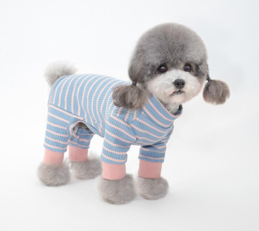 �� �� ���� �ܥ� �ɥå������� �������� ���� ������ �ɴ��� ǭ �ڥå��� �⤳�⤳ �ͥå��������ޡ� ���� ���ä��� �Ȥ���