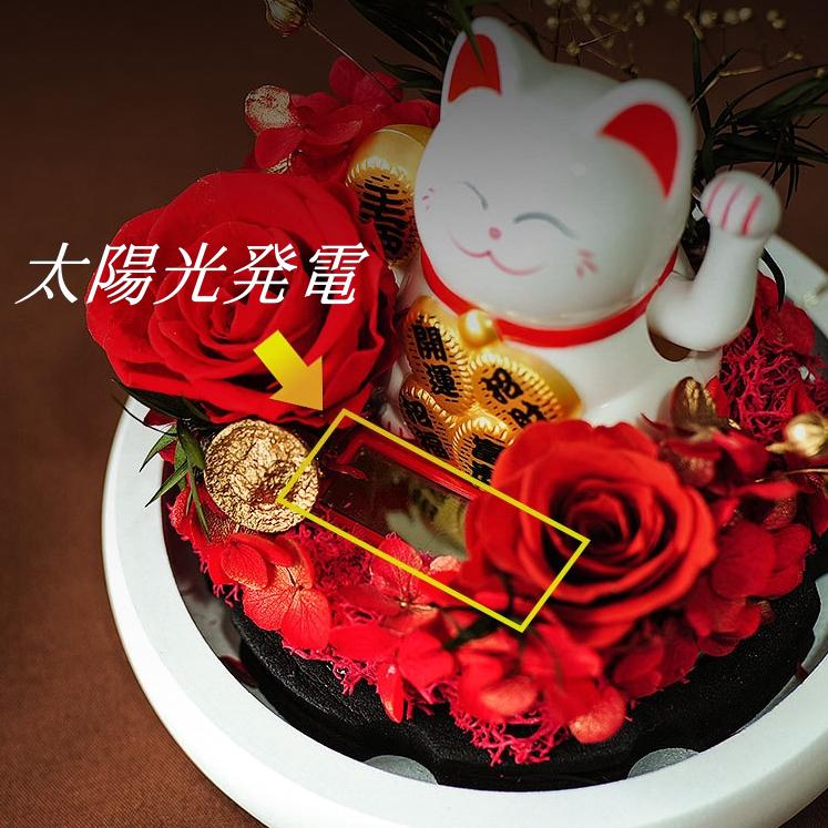  ǭ  ե ץꥶ֥ɥե  饹 Ϥʤ ʱβ ʥȥ饤 եȥܥåդ 뺧 