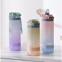水筒 ストロー 夏用 500ml グラデーション 子供 大人 通勤 通学 大容量 PP ピンク ジム 体操 ヨガ トレーニング 登山 自転車 軽い スポ(3)
