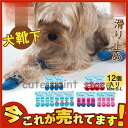12個入り 犬靴下 ソックス くつした 滑り止め ゴム付き 室内 犬用品 猫用品 ルームソックス ペット用 トイプードル ドッグウェア