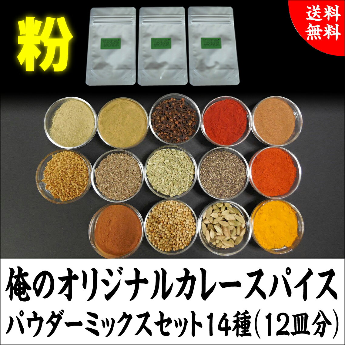 送料無料！俺のオリジナルカレースパイスパウダーミックスセット14種（12皿分）1100円ポッキリメール便で発送 