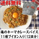 送料無料！俺のキーマカレースパイス11種ブイヨン入り（12皿分）1100円ポッキリメール便で発送【smtb-t】 【RCP】【カレースパイス】