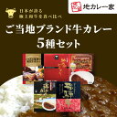 地カレー家特選☆ブランド牛5000円セット☆【RCP】【ご当地カレー/レトルトカレー】(セット商品)【ギフト/景品/賞品/贈答/お祝い/内祝い/お中元/イベント/結婚式/二次会/暑中見舞い】レトルト 詰め合わせ