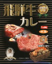 奥美濃【飛騨牛カレー】中辛（250g）【RCP】【ご当地カレ