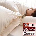 2枚合わせ オールシーズン 日本製 羽毛布団 CILレッドラベル ホワイト ダウン 85% 300dp かさ高120mm以上 消臭 抗菌 セミダブル ロング 国内パワーアップ 二枚合わせ 羽毛 布団 肌掛け 掛け布団 掛布団 暖かい あったか 軽い(3)