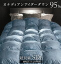 羽毛の至宝 羽毛布団 カナダ産 アイダーダウン95% 日本製 セミダブル ロング 綿100% 立体キルト 超長綿 300サテン 5年保証 セミダブルロング アイ...