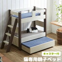 ■正午~5%OFFクーポン■ 2段ベッド 猫 猫用 2段ベッド 親子ベッド スライド 猫ベッド すのこ 天然木 猫小屋 梯子付き はしご 猫 ベッド 木製 ベッドフレームのみ カントリー調 多頭飼い ブリーダー ペットベッド ペット用ベッド 通気性 ネコベッド