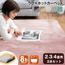 ■20時~5%クーポン■ ラグ×ホットカーペット 2点セット 2畳 3畳 4畳 ラグ ホットカーペット セット 洗える 軽量 滑り止め付 ラグ付き 185×18...