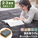 ■20時~5%クーポン■ ラグ+ホットカーペット2点セット 2畳 / 3畳用 極厚2.5cm 高反発 ラグ 185×185cm 200×250cm ホットカーペ...