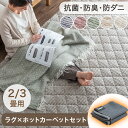 ■本日5%クーポン■ ラグ+ホットカーペット2点セット 2畳 / 3畳用 ホットカーペット セット 防菌 防臭 防ダニ 2畳用 3畳 セット 軽量 滑り止め付 ラグ ラグ付き 床暖房カーペット 電気マット 足元暖房 カーペット 正方形 オールシーズン 絨毯 ストライプ フランネル