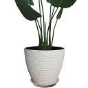 プランター 中型 おしゃれ 受け皿付き 植木鉢 深型 軽量 プラスチック 屋内 屋外用 プランター 深型 高さ17cm 排水穴付き 観葉植物 鉢 植木鉢 (20#,丸型-ホワイト)