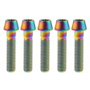 M8x15 20 25 30 35 40 45 50 mm P1.25 チタン合金コニカルヘッド六角穴付ボルト 5個入 (M8x35mm, でレインボー)