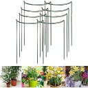 Yivoumi 植物支柱 8点セット 40*25cm 花ささえ 園芸支柱 植物サポート 観葉植物 つる性植物 観葉支柱 誘引 支柱 簡単設置 花支え 支柱棚 フ...