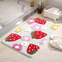 玄関マット 屋内 ふわふわ バスマット 洗面所 マットおしゃれ いちご柄 イチゴ 屋外 泥落とし 柔らかいマット滑り止め 床マット 折りたたみ可能 吸水 洗える 速乾 抗菌防臭 耐磨耗性 年中使える (グリーン, 50×80cm)(3)