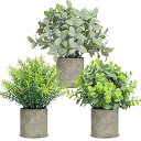 フェイクグリーン 観葉植物 フェイク 小さい 室内 3個セット インテリア プレゼント(3)