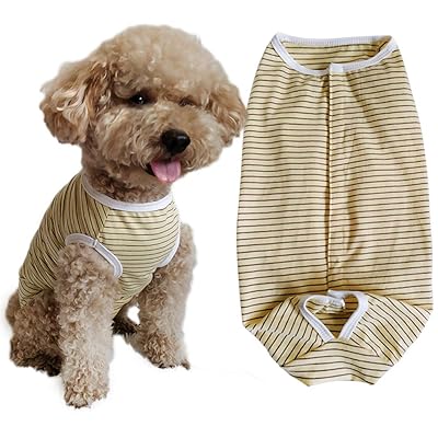 PET Ѹ ҥåץѥ ѥ ݸ ͺ ǥ  Υ ݸ  ̵  淿 (꡼ࡢX...