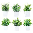6点セット ミニ 観葉植物 フェイク グリーン 造花 お世話不要 卓上 室内 ギフト