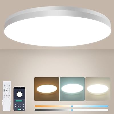 LEDシーリングライト6畳8畳 29W 3900LM天井照明器具 蛍光灯 電気 照明器具 間接光常夜灯付き 天井 ledライト リモコン付 スマホAPP操作 無段階調光調色 昼光色-電球色 ledライトメモリスリープタイマー 玄関部屋 寝室 和室 台