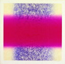 版画/シルクスクリーン 百瀬寿 Re.Ho P thru Ve B(リバーシブル) 現代アート 抽象 送料無料