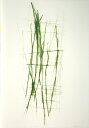 版画/銅版画 芝高康造 terre-verte 1 現代アート 抽象 送料無料