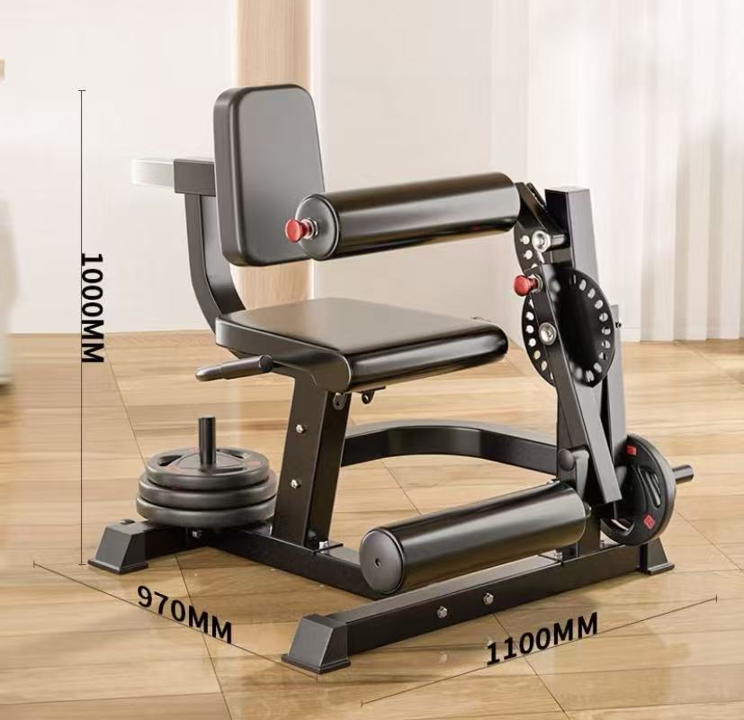 バックエクステンション　BODYMAKER BODYMAKERバックエクステンション2 / 格闘技用品店ファイターズスピリッツ