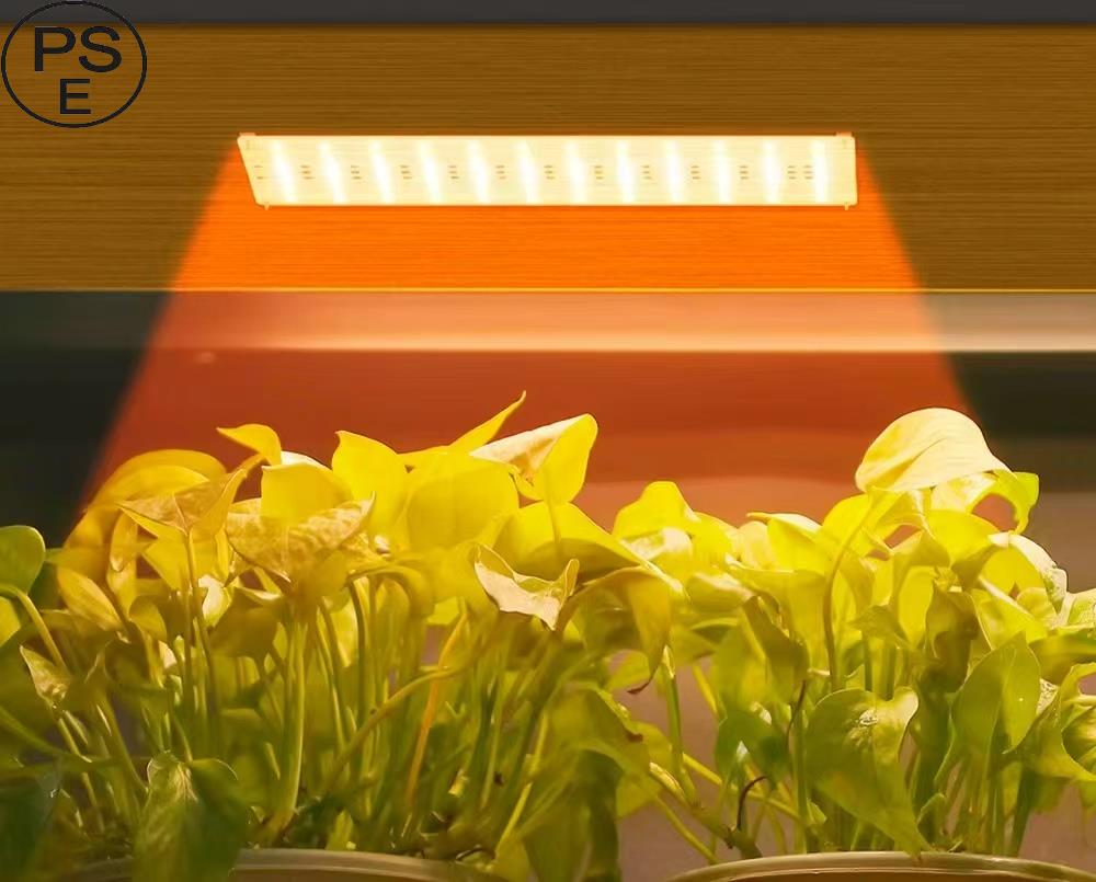 乐天商城 - 植物育成ライト LED フルスペクトル タイマー機能付き パネル 屋内 屋外用 観葉植物 多肉植物 植物育成ライト LED 育成ライト 植物ライト