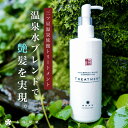 《最大75%OFFクーポン★Pt10倍》《湯居間蔵》《温泉水ブレンド》トリートメント 湯居間蔵 温泉旅館 温泉水ブレンド 越後湯沢(4)