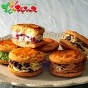【父の日】ホシフルーツ 発酵バターと果実のバターサンド 父の日ギフト 父の日プレゼント 2025 父の日 ギフト 贈り物 贈答 プレゼント 専用メッセージカード...