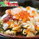 くまだ 北の海鮮小鉢 (6食セット)2025 お中元 暑中見舞い 残暑見舞い ギフト 贈り物 お祝い お礼 お返し 内祝い 結婚祝い 出産祝い お見舞い 快気祝...