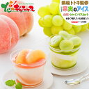 銀座トトキ監修 山形県産果実のアイス (7個入り/冷凍便) AH-PS北のデリシャス 2025 夏ギフト お中元 ギフト 贈り物 贈答 お祝い お礼 お返し 内...