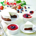 岩瀬牧場 王様のショコラ&ベリーレアチーズセット2025 お歳暮 お年賀 年越し お正月 年末年始 ギフト 贈り物 お祝い お礼 お返し 内祝い 結婚祝い 出産...