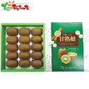 福岡県産 博多甘熟娘 (うれっこ) キウイ (1.5kg) 2025 冬ギフト お歳暮 御歳暮 お年賀 御年賀 ギフト 贈り物 贈答 お祝い お礼 お返し 内祝...