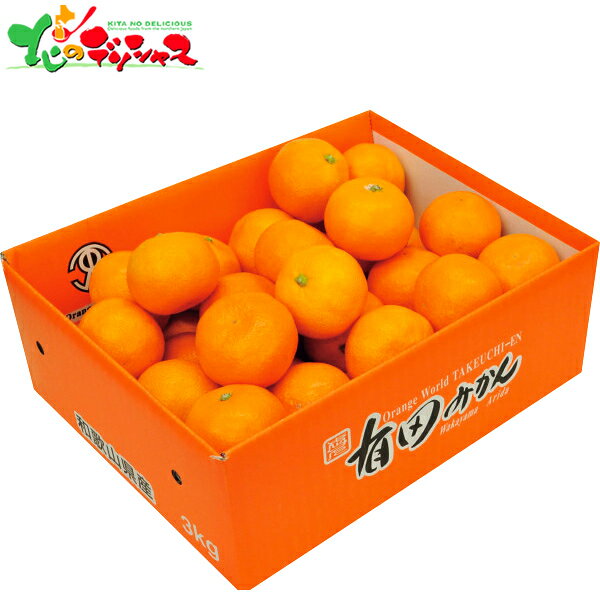 和歌山県 武内園の有田みかん3kg 2025 冬ギフト お歳暮 御歳暮 お年賀 御年賀 ギフト 贈り物 贈答 お祝い お礼 お返し 内祝い プレゼント ご家庭用 柑橘 みかん ミカン 蜜柑 果物 フルーツ セット 詰め合わせ グルメ お取り寄せ