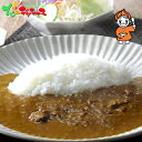 リトルスプーン 北海道熟成カレー4個セット2025 お中元 暑中見舞い 残暑見舞い ギフト 贈り物 お祝い お礼 お返し 内祝い 結婚祝い 出産祝い お見舞い 快気祝い プレゼント 洋食 カレー レトルト セット 詰め合わせ 北海道 グルメ 送料無料 お取り寄せ