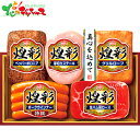 丸大食品 煌彩ハムギフト MS-3052025 夏ギフト お中元 暑中見舞い 残暑見舞い ギフト 贈り物 贈答 お祝い お礼 お返し 内祝い プレゼント 肉 肉...