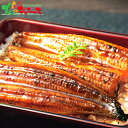 大森淡水 国産 うなぎ蒲焼(長焼/2尾)2025 夏ギフト お中元 暑中見舞い 残暑見舞い ギフト 贈り物 贈答 お祝い お礼 お返し 内祝い プレゼント 惣菜 水産 ウナギ 鰻 蒲焼き セット 詰め合わせ グルメ お取り寄せ