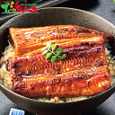 大五 うなぎ工房 阿蘇夢鰻使用 うなぎの蒲焼き 二人前2025 夏ギフト お中元 暑中見舞い 残暑見舞い ギフト 贈り物 贈答 お祝い お礼 お返し 内祝い プ...