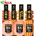 鹿児島県産 黒豚ハム さつまあげセット KKS-300N 2025 夏ギフト お中元 暑中見舞い 残暑見舞い ギフト 贈り物 贈答 お祝い お礼 お返し 内祝い...