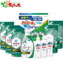 ギフト工房 アリエール 部屋干し&ジョイセット HAJ-50C 2025 ギフト 贈り物 贈答 お祝い お礼 お返し 内祝い プレゼント お中元 お歳暮 洗剤 ...