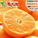 【予約】産地厳選 国産 ご家庭用 温州みかん 10kg (訳あり/常温便) 柑橘 柑橘類 みかん ミカン 蜜柑 わけあり 訳あり ご自宅用 ご家庭用 おうち用 ...